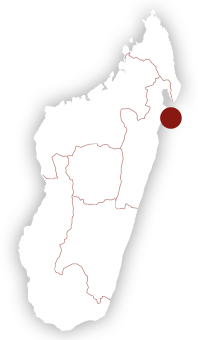 Voyage Tourisme Madagascar - Voyage à Madagascar, une « destination découverte »