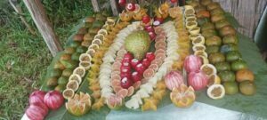 Ampasinambo Agro-Camping : une immersion au cœur des saveurs fruitées de l’Est