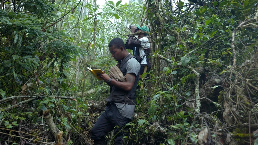 Voyage Tourisme Madagascar - Voyage à Madagascar, une « destination découverte »