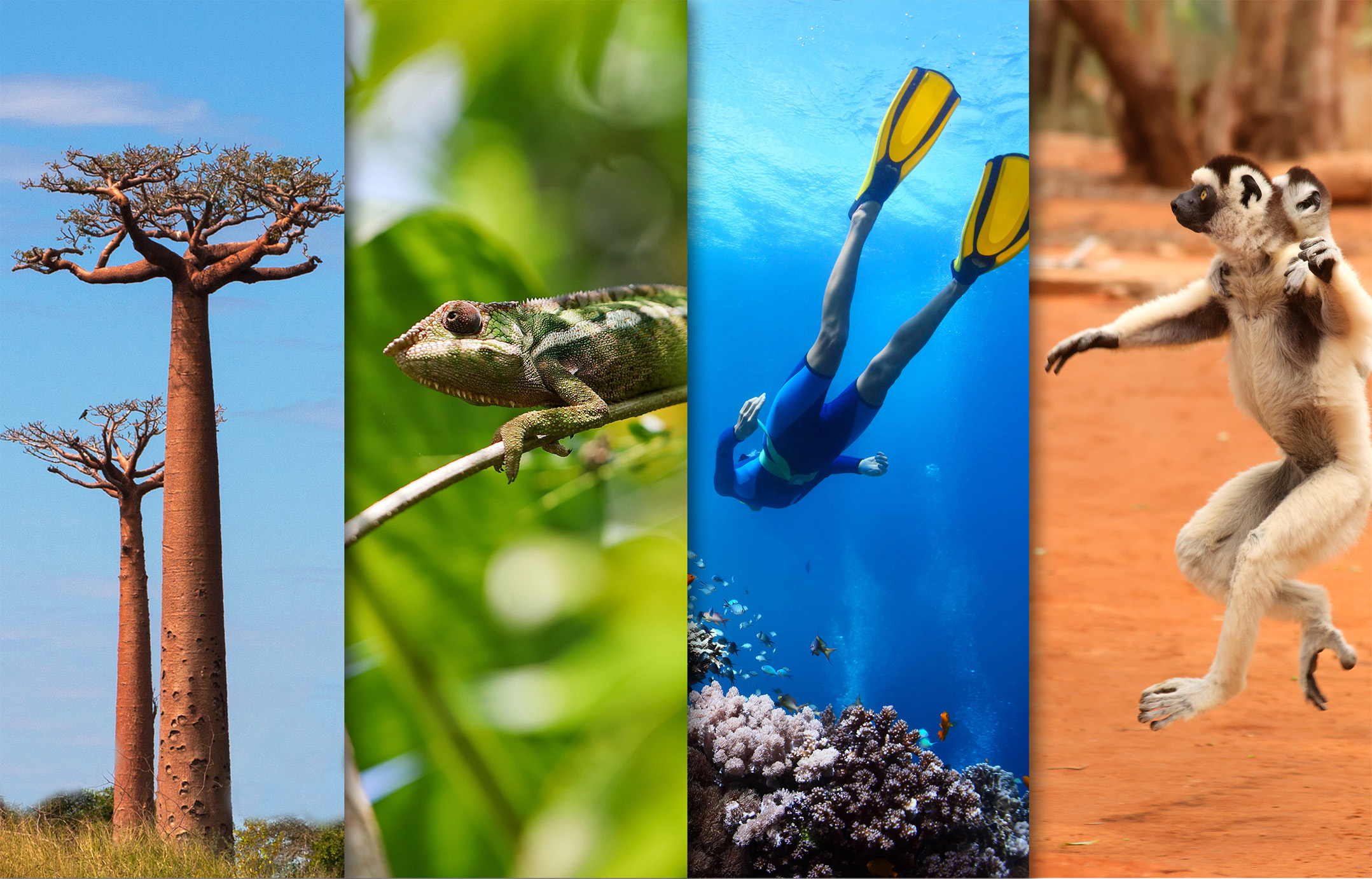 Voyage Tourisme Madagascar - Voyage à Madagascar, une « destination découverte »