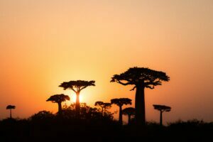 APPEL A MANIFESTATION D’INTERET POUR LES SALONS INTERNATIONAUX 2026