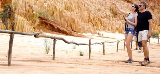 banner-image 