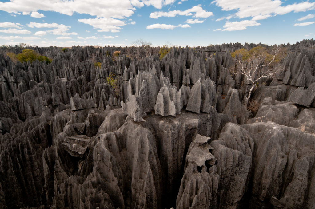 Parc National Tsingy De Bemaraha - Voyage Tourisme Madagascar