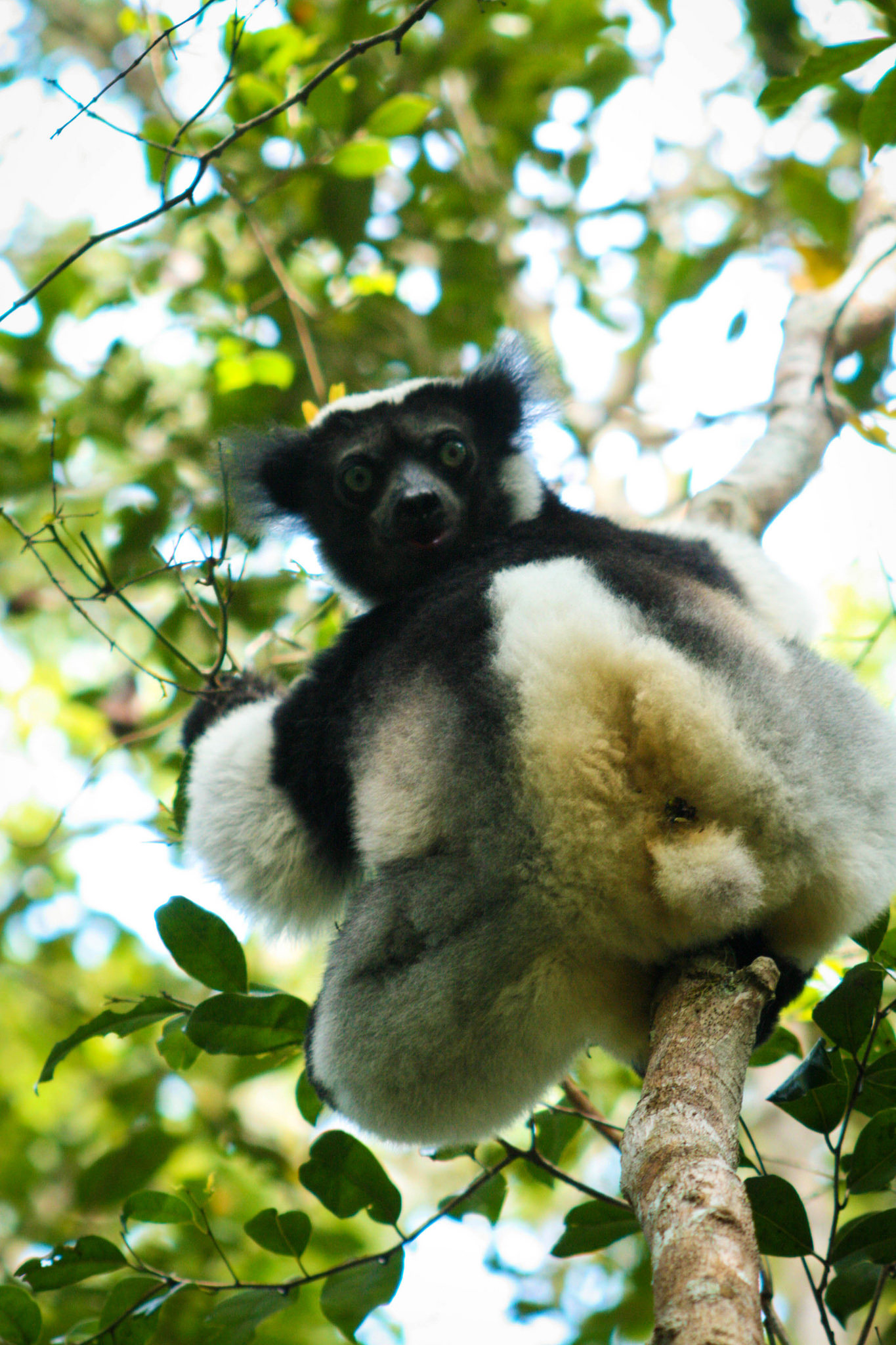 Voyage Tourisme Madagascar - Voyage à Madagascar, une « destination découverte »