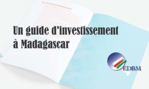 Un guide d'investissement à Madagascar publié en ligne
