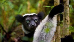 Madagascar: une offre spéciale pour découvrir en profondeur la RN2