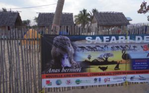 Safari des oiseaux à Ampitsopitsoka: découvrez la richesse de la faune ailée malgache