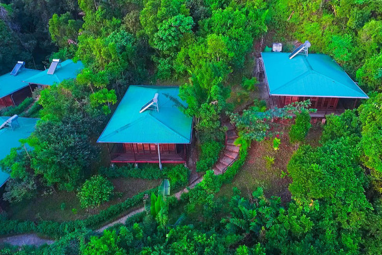 DOUNIA FOREST LODGE