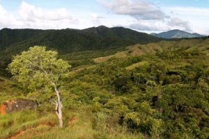 Aire Protégée de Loky Manambato: la biodiversité du Nord-est se découvre