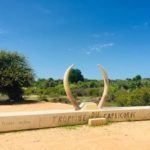 tropique du capricorne madagascar tulear