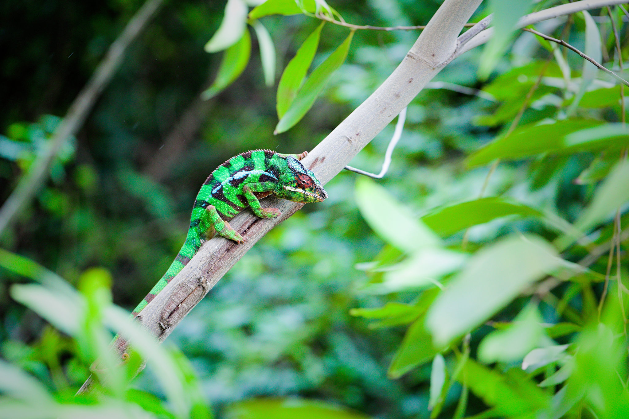 Voyage Tourisme Madagascar - Voyage à Madagascar, une « destination découverte »