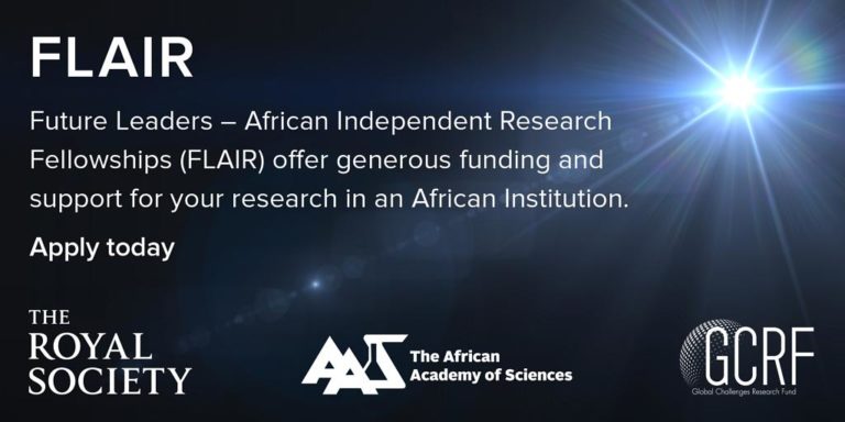 future leaders african independent research fellowship