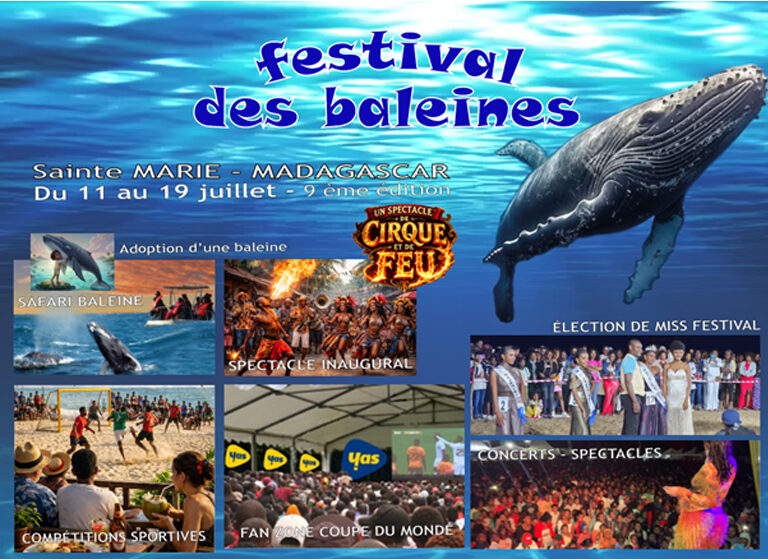 Festival des baleines