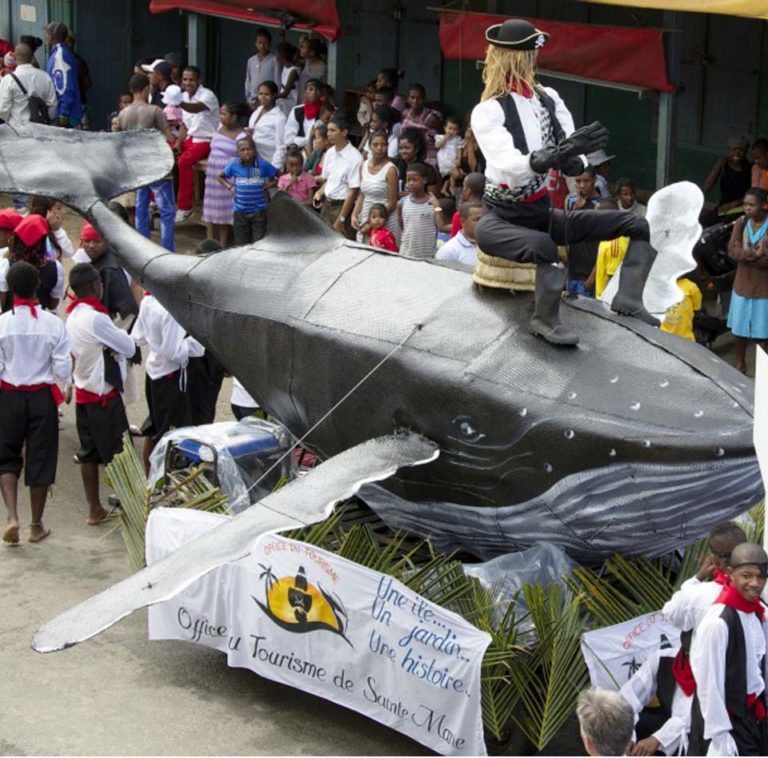 Festival des baleines