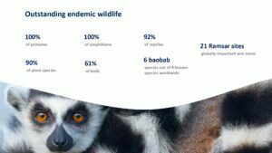 DESTINATION MADAGASCAR_page-0018