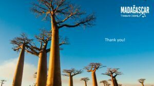 DESTINATION MADAGASCAR_page-0020