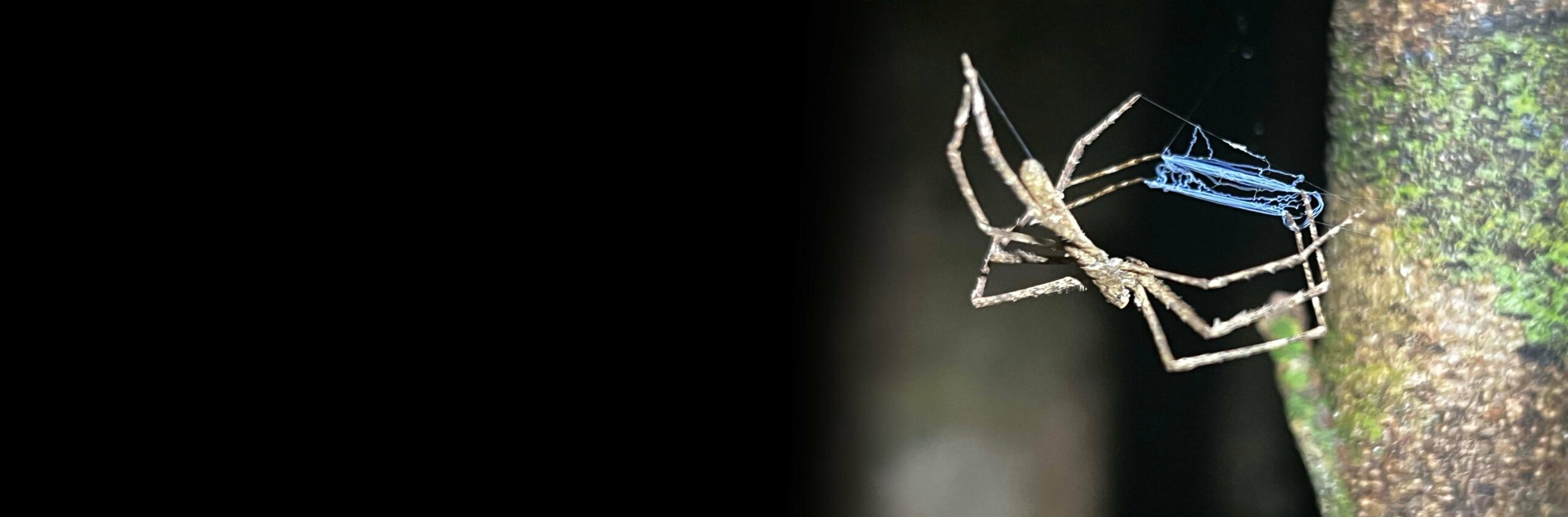 Voyage Tourisme Madagascar - Voyage à Madagascar, une « destination découverte »