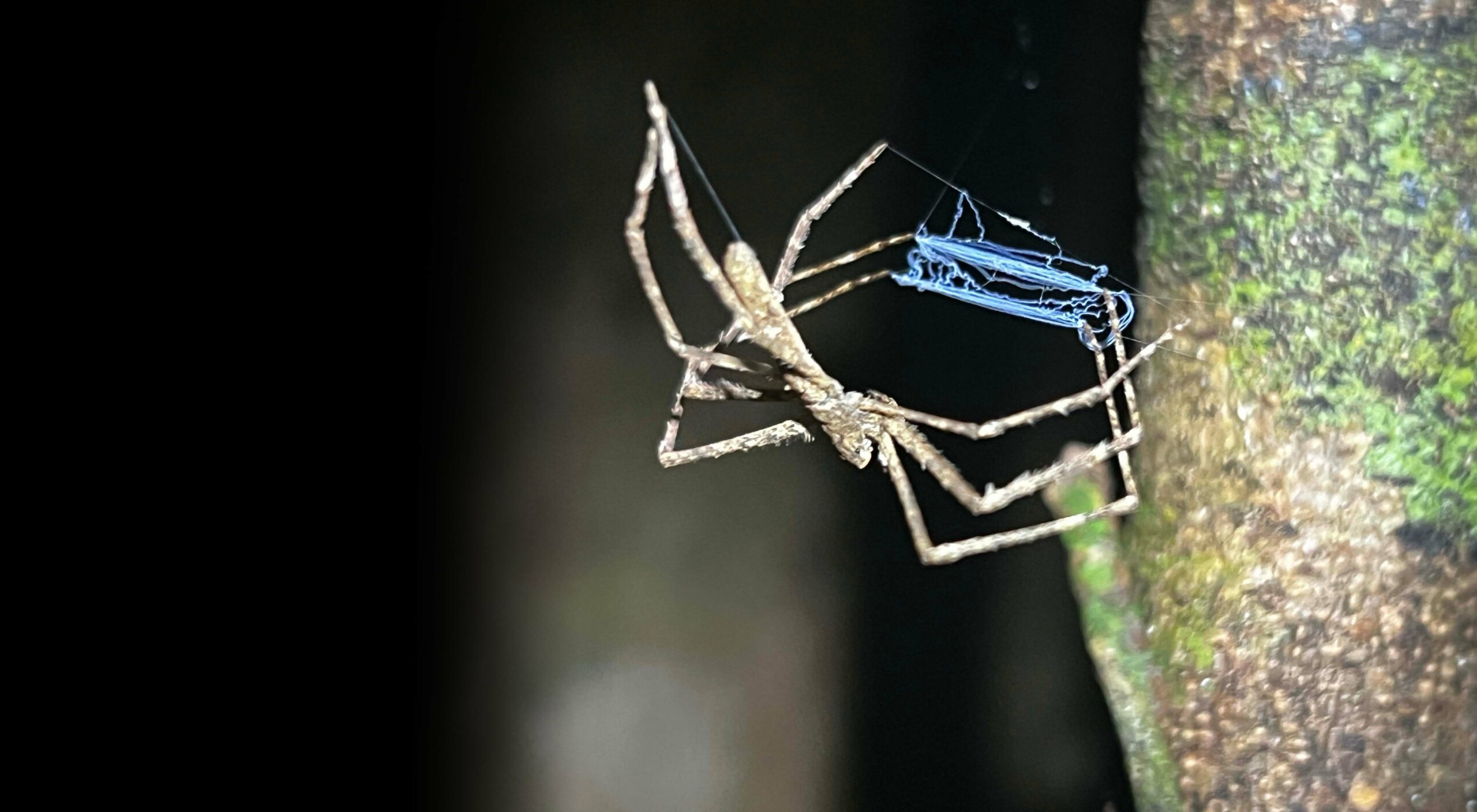 Voyage Tourisme Madagascar - Voyage à Madagascar, une « destination découverte »
