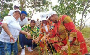 Madagascar et Congo-Brazzaville, unissent leur force pour la préservation de leurs forêts primaire