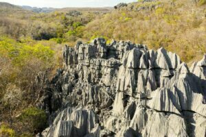Les forêts sèches de l’Andrefana inscrites au Patrimoine mondial : Le certificat officiel remis au peuple Mikea