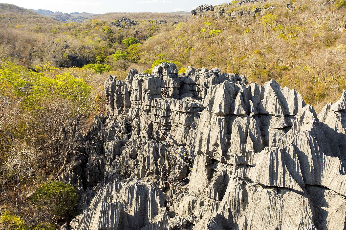 Voyage Tourisme Madagascar - Voyage à Madagascar, une « destination découverte »
